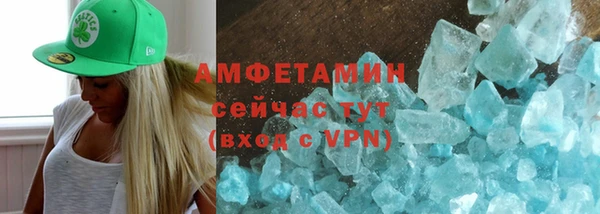 ПСИЛОЦИБИНОВЫЕ ГРИБЫ Дмитриев