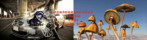 ПСИЛОЦИБИНОВЫЕ ГРИБЫ Дмитриев