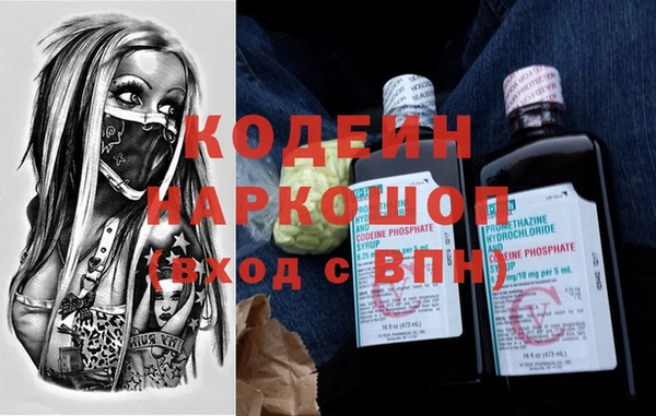 ПСИЛОЦИБИНОВЫЕ ГРИБЫ Дмитриев