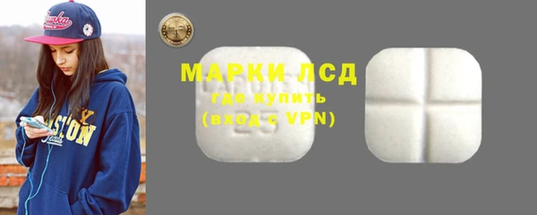 индика Саяногорск