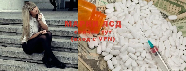 ПСИЛОЦИБИНОВЫЕ ГРИБЫ Дмитриев