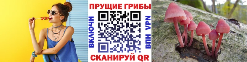 Галлюциногенные грибы мицелий  ссылка на мегу ссылка  Рошаль 